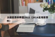 法国世界杯阵容2022（2014足球世界杯）