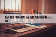 东南亚足球锦标赛（东南亚足球锦标赛2023年）